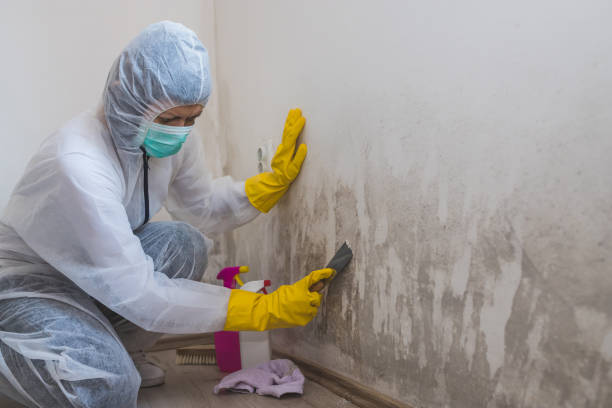 Best Industrial Mold Remediation  in Kekoskee, WI